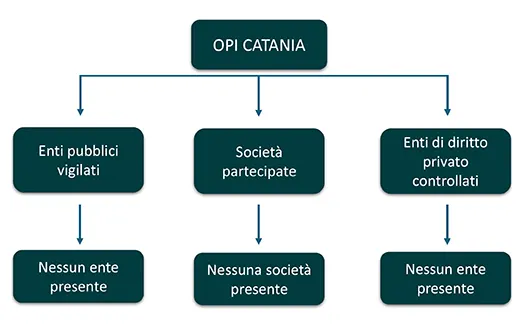 Rappresentazione grafica degli enti controllati